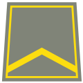 Kichik serjant (Uzbek Ground Forces)[18]