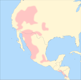 Image illustrative de l’article Langues uto-aztèques