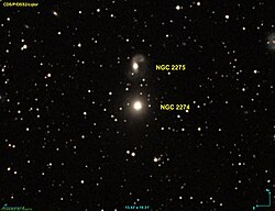 NGC 2274