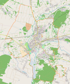 Mapa konturowa Lubaczowa, w centrum znajduje się punkt z opisem „Kościół św. Stanisława Biskupa w Lubaczowie”