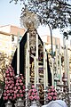 Nuestra Señora Mediadora de la Salvación