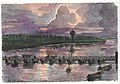 Tramonto sul ponte di barche sul Po a Ostiglia 1925