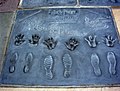 Imprints of the hands, feet and wands of Emma Watson, Daniel Radcliffe and Rupert Grint in front of the Grauman's Chinese Theater.