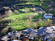 Aldea de Figueiredo, Piñeira.