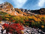 Autumn coloration at Karasawa of the جبال الألب اليابانية in Japan