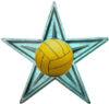 The Water Polo Barnstar