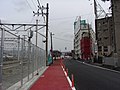 d.JR広島駅と新球場を結ぶ道路は、新たに歩道が設けられた。（2009年3月29日 撮影）