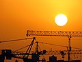 Thumbnail for File:Cranes in Iran-Qom City &amp; Province-Photo by Mostafa Meraji 02.jpg