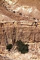 Ein Gedi