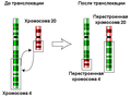 Миниатюра для версии от 09:38, 12 апреля 2012