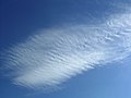 Cirrostratus undulatus