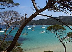 Playa de la Courtade en Islas de Hyères (Francia)