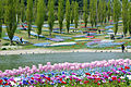 Akashi Kaikyo National Government Park