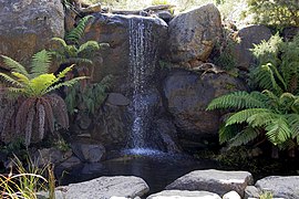 Air terjun buatan manusia di taman botanikal nasional Australia di Canberra, Australia