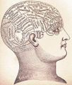 Phrenology