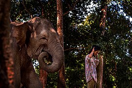 🥈 Sang Mahout