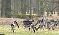 キルヒローデ市区の動物園