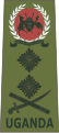 General (Ugandan Land Forces)