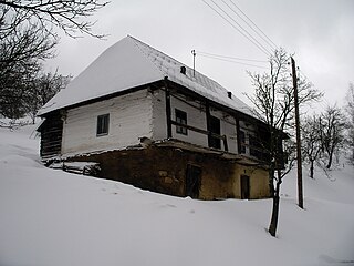 Хата в селі Вишка Закарпатської обл.