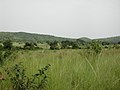 D Savannah ba da Grenz vo da Gbomblora Provinz in Sidoustn, af da Strouss vo Gaoua af Batié.