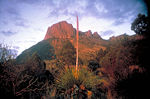 Vorschaubild für Big-Bend-Nationalpark