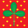 Flag of Jagodina