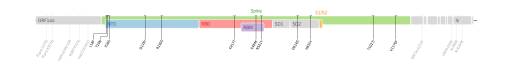 Les mutations du variant Gamma sur une carte génomique du SARS-CoV-2