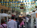 Street during Festa di Borgo Rovereto