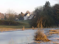 Lützelsee