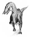 Suchomimus