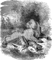 English: Lion. Picture from popular bible encyclopedia of Archimandrite Nicephorus (1892). Русский: Лев. Иллюстрация из иллюстрированной библейской энциклопедии архимандрита Никифора (1892)