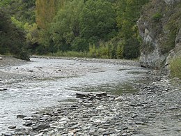 rive d'une rivière, en fond une forêt.