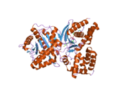 2fy4: Structures of ligand bound human choline acetyltransferase provide insight into regulation of acetylcholine synthesis