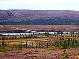 Denali Otoyolu üzerindeki Susitna Nehri köprüsü 1,036 feet (316 m) uzunluğundadır.