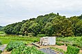 明日香村 平田梅山古墳（140m）