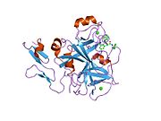 1kye: Factor Xa in complex with (R)-2-(3-adamantan-1-yl-ureido)-3-(3-carbamimidoyl-phenyl)-N-phenethyl-propionamide