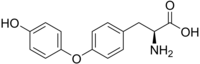 Thyronine (T0).