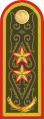 Генерал лейтенант (Kazakistan Kara Kuvvetleri)