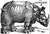 Albrecht Dürer, Rhinoceros, 1515