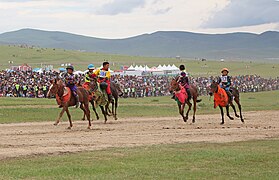 Course du Naadam (Oulan-Bator, Mongolie)