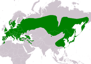 Natura arealo ﻿ Ĉiujare prezencoj