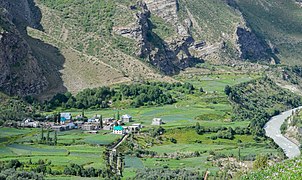 Thenu village and fields in summer, Lahaul, Himachal Pradesh