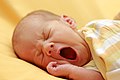 26 Yawning Infant, August 2018 uploaded by Martin Falbisoner, nominated by Martin Falbisoner