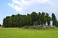 福島県会津坂下町 亀ヶ森古墳（129.4m：福島県最大）