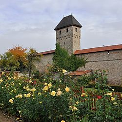 Kirchheimbolanden – Veduta