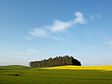 Landschaft bei Tessin