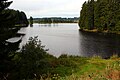 Oberharzer Wasserregal - Ziegenberger pond