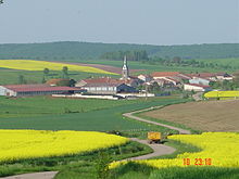 Athienville colza.JPG