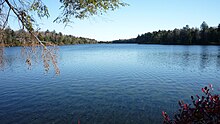 Bright blue lake beneath a light blue sky, with a line of dark forest in the background. A tree branch with leaves is in the top left foreground and the top of a bush is in the bottom right corner.