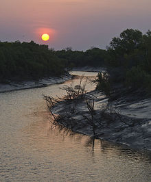 King River Sunset.jpg